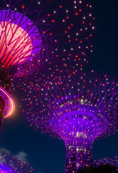 GARDENS BY THE BAY-c.jpg